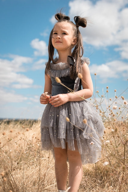 Clara Ballerina Dress. Dusty Pink & Vintage Blue