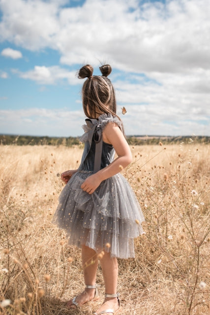 Clara Ballerina Dress. Dusty Pink & Vintage Blue