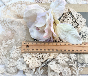 Velvet Organza Rose Cream