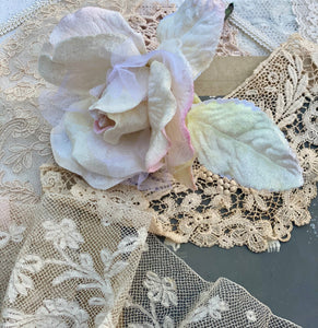 Velvet Organza Rose Cream