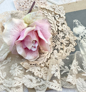 Velvet Organza Rose Pink