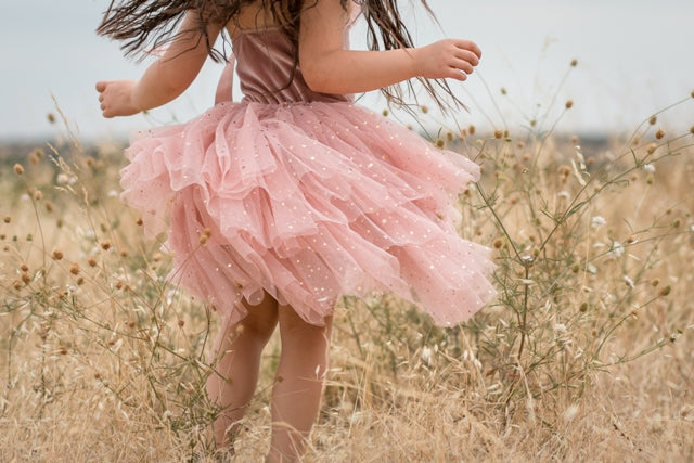 Clara Ballerina Dress. Dusty Pink & Vintage Blue