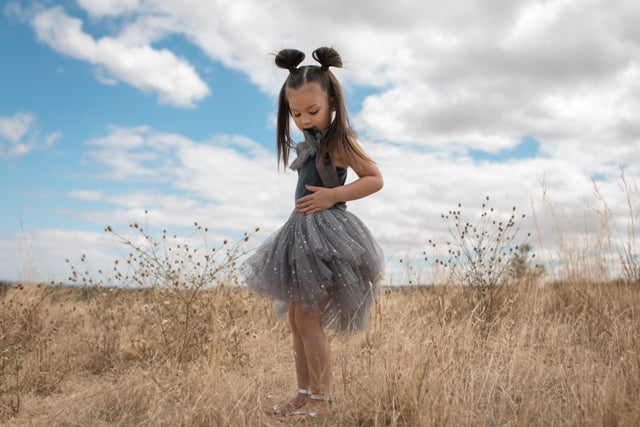 Clara Ballerina Dress. Dusty Pink & Vintage Blue