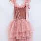 Clara Ballerina Dress. Dusty Pink & Vintage Blue