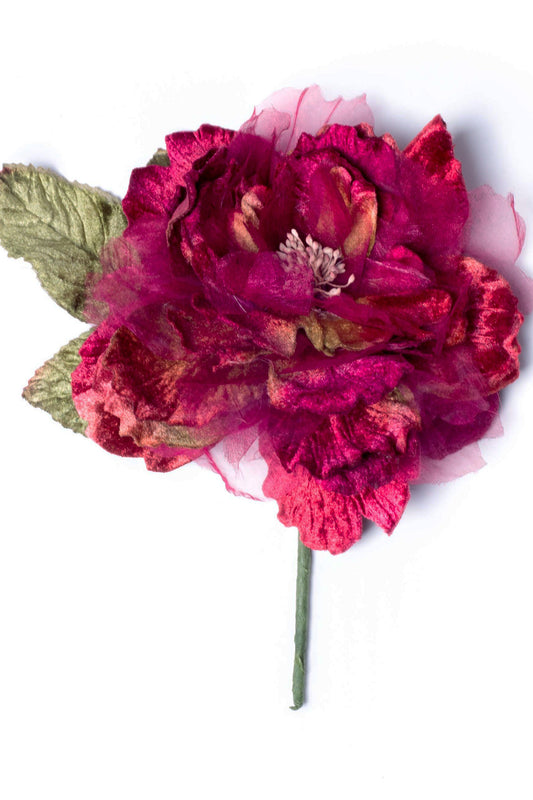 Cabbage Rose Burgundy