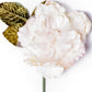 Cabbage Rose Cream