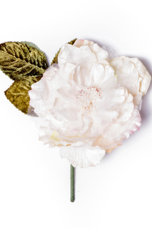 Cabbage Rose Cream