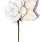 Vintage Rose - White