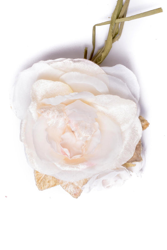 Peony Rose Cream