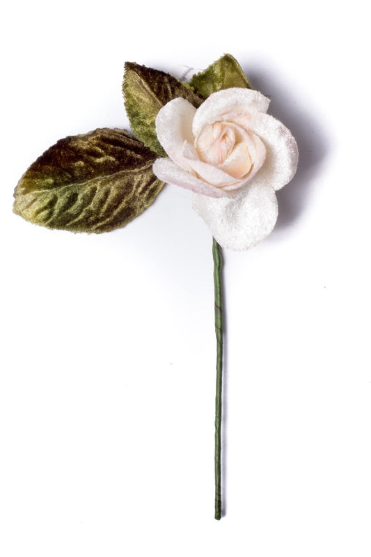 Small Velvet Rose Cream